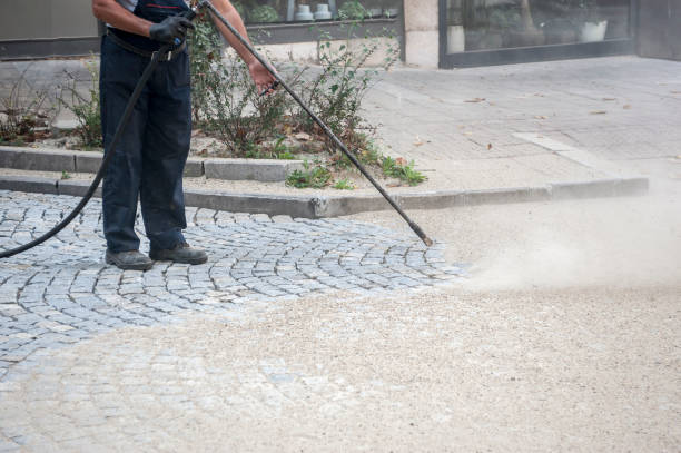 Animal Enclosure Cleaning in Healdsburg, CA